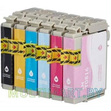 Картридж Sakura Printing SIC13T11174A10 картинка 2